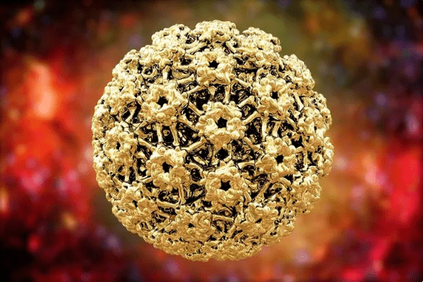 Mënsch Papilloma Virus