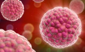 Symptomer a Behandlung vum Mënsch Papillomavirus